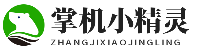 掌机小精灵进化石线索—掌机小精灵进化石全攻略：发现隐藏线索，助力精灵成长